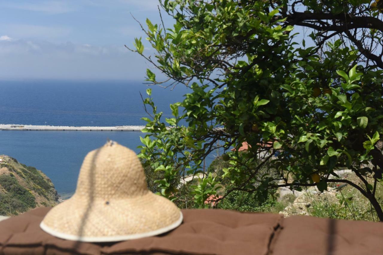 فيلا Mare Vista إفديلوس المظهر الخارجي الصورة
